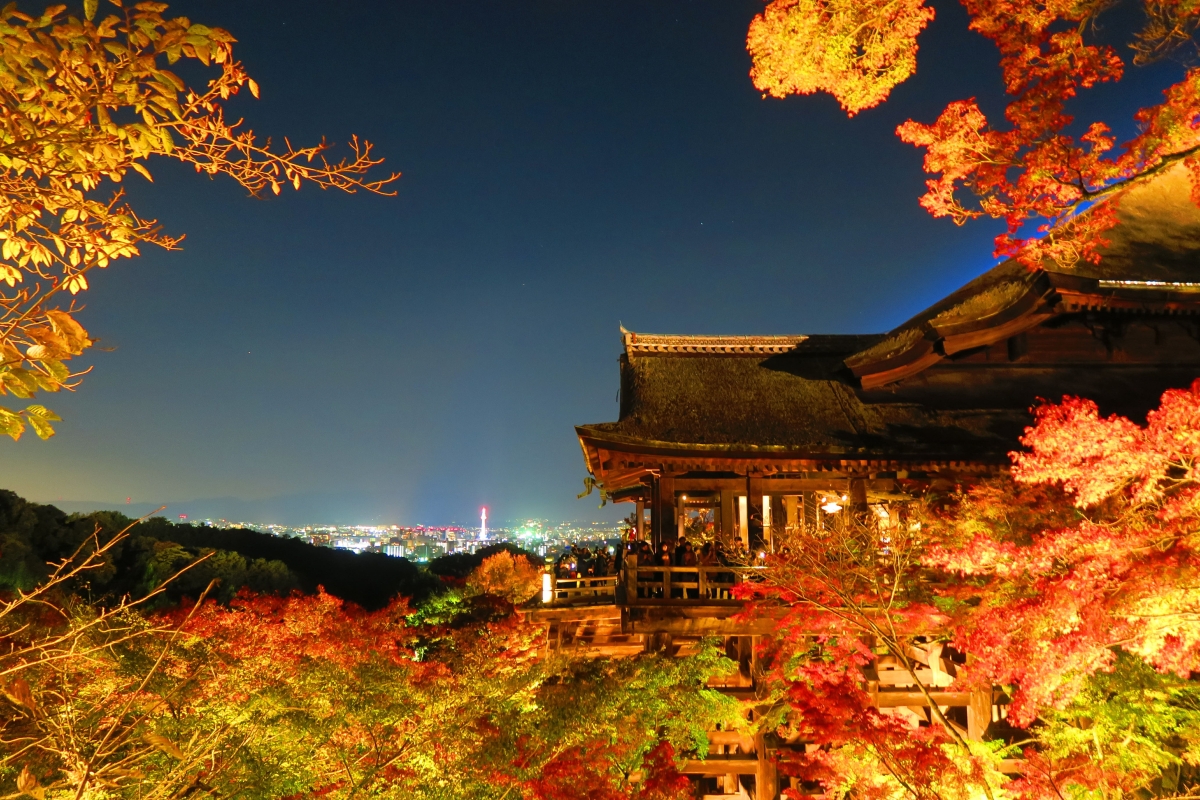 momiji