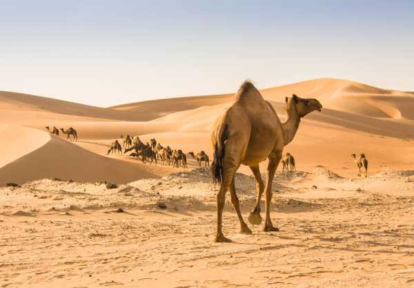 Qatar
