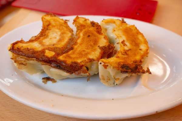 gyoza