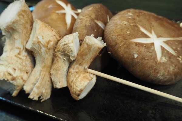 siitake