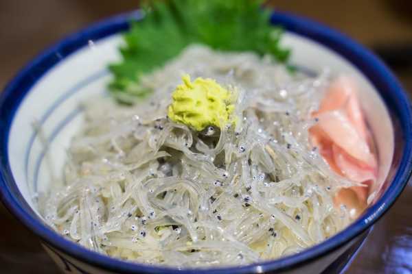 shirasu