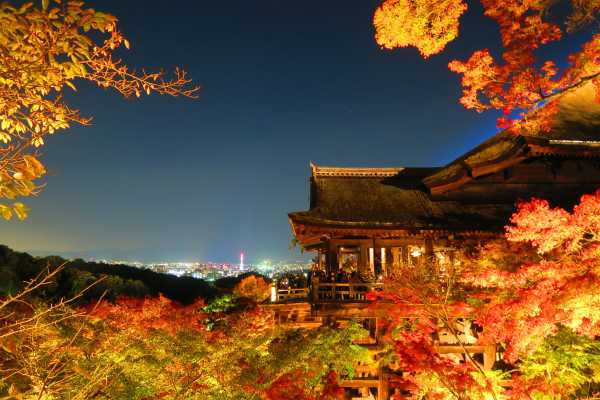 momiji