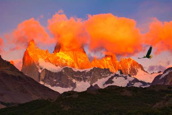 Argentine