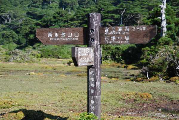 yakusima