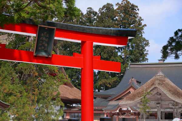 tsuruoka