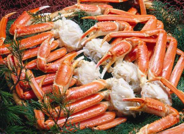 crab