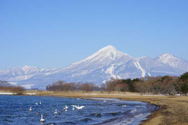 fukushima