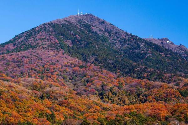 ibaragi