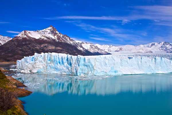 Argentine