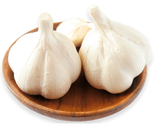 garlic